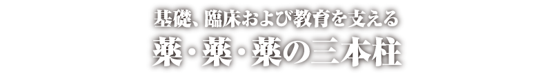 基礎、臨床および教育を支える薬・薬・薬の三本柱 会期：2020年11月7日（土）・8日（日）
会場：島根県民会館／サンラポーむらくも
実行委員長：直良　浩司（島根大学医学部附属病院　教授・薬剤部長）